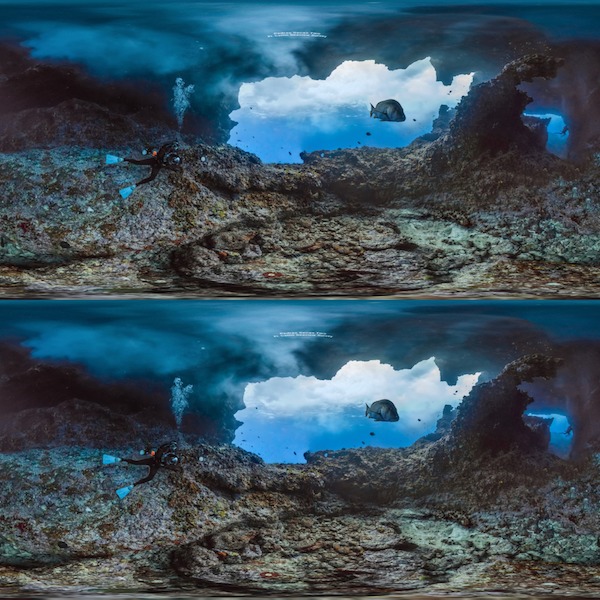 360° / 180° Editing